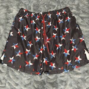 USA Patriotic Swim Trunks (Men's Large)